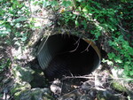 Culvert Crossing, Perry, Maine