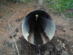 Culvert Crossing, Perry, Maine
