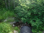 Culvert Crossing, Perry, Maine