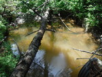 Culvert Crossing, Perry, Maine
