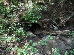Culvert Crossing, Perry, Maine