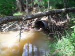 Culvert Crossing, Perry, Maine