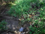 Culvert Crossing, Perry, Maine