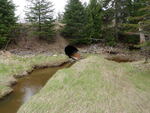 Culvert Crossing, Perry, Maine
