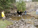 Culvert Crossing, Perry, Maine