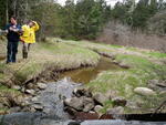 Culvert Crossing, Perry, Maine