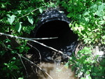 Culvert Crossing, Perry, Maine