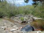 Culvert Crossing, Perry, Maine