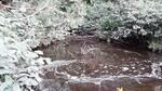Culvert Crossing, Perry, Maine