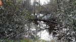 Culvert Crossing, Perry, Maine