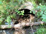 Culvert Crossing, Boyden Stream, Perry, Maine