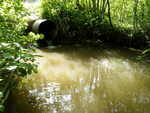 Culvert Crossing, Boyden Stream, Perry, Maine