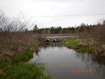 Multiple Culvert Crossing, Boyden Stream, Perry, Maine