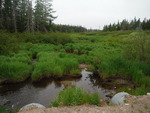 Multiple Culvert Crossing, Perry, Maine