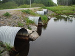 Multiple Culvert Crossing, Perry, Maine