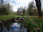 Multiple Culvert Crossing, Perry, Maine