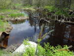 Multiple Culvert Crossing, Perry, Maine