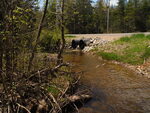 Multiple Culvert Crossing, Mill Brook, Robbinston, Maine