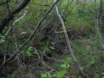 Culvert Crossing, Robbinston, Maine