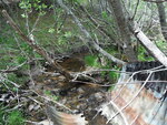 Culvert Crossing, Robbinston, Maine