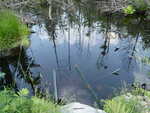 Multiple Culvert Crossing, Weston, Maine