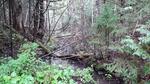 Bridge Crossing, Little Simsquish Brook, Lambert Lake Twp, Maine