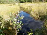 Culvert Crossing, Codyville Plt, Maine