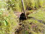 Culvert Crossing, Codyville Plt, Maine