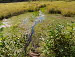 Culvert Crossing, Codyville Plt, Maine