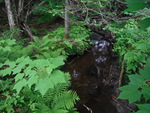 Culvert Crossing, Lakeville, Maine