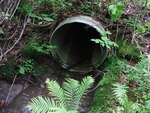 Culvert Crossing, Lakeville, Maine