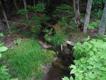 Culvert Crossing, Lakeville, Maine