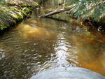 Culvert Crossing, Grand Lake Stream Plt, Maine