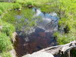 Culvert Crossing, Conic Stream, Baring Plt, Maine