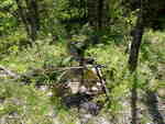 Culvert Crossing, Grand Lake Stream Plt, Maine