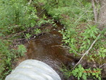Culvert Crossing, Grand Lake Stream Plt, Maine