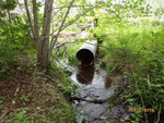 Culvert Crossing, Grand Lake Stream Plt, Maine