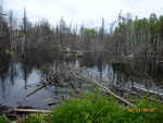 Culvert Crossing, Grand Lake Stream Plt, Maine
