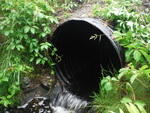 Culvert Crossing, Topsfield, Maine