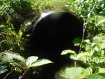 Culvert Crossing, Clark Brook, Amity, Maine