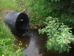 Culvert Crossing, Clark Brook, Amity, Maine