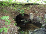 Culvert Crossing, Grand Lake Stream Plt, Maine