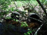 Culvert Crossing, Grand Lake Stream Plt, Maine