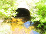 Culvert Crossing, Baring Plt, Maine