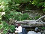 Culvert Crossing, Perry, Maine
