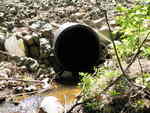 Culvert Crossing, Perry, Maine