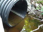 Culvert Crossing, Perry, Maine