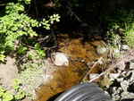 Culvert Crossing, Perry, Maine