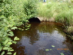 Culvert Crossing, Calais, Maine