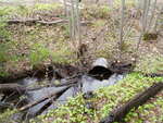 Culvert Crossing, Baileyville, Maine